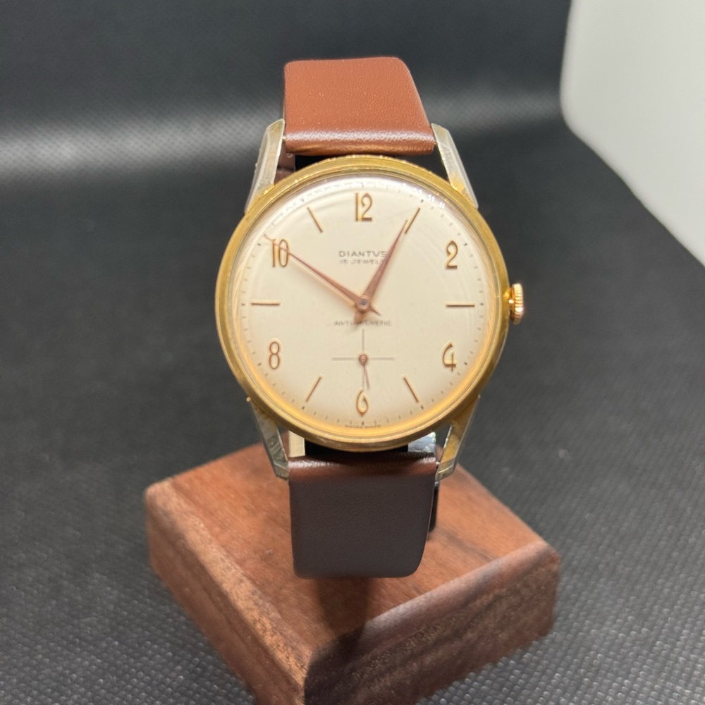 Dianyu Gold and Brown Watch
